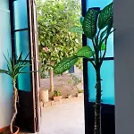 La Corte Nascosta